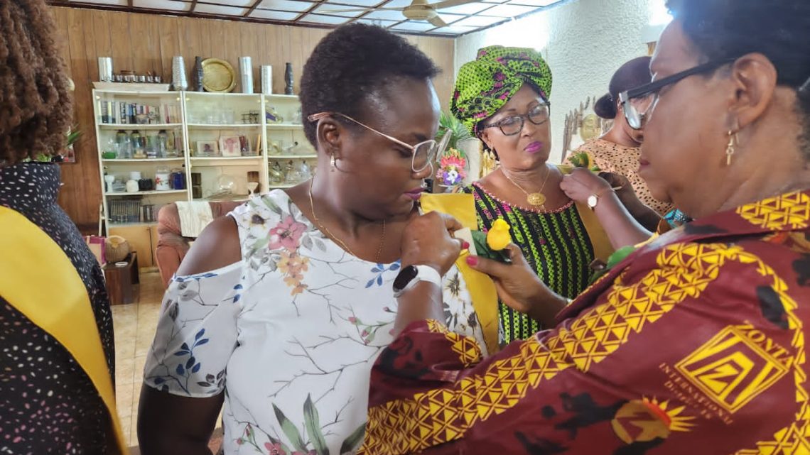 Zonta Club of Freetown – Saturday 4th February :  Induction ceremony